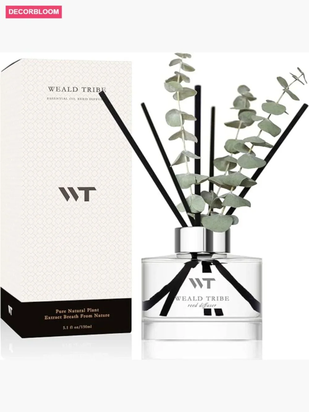 Reed Diffuser Set - Eucalyptus Mint Scent for Home